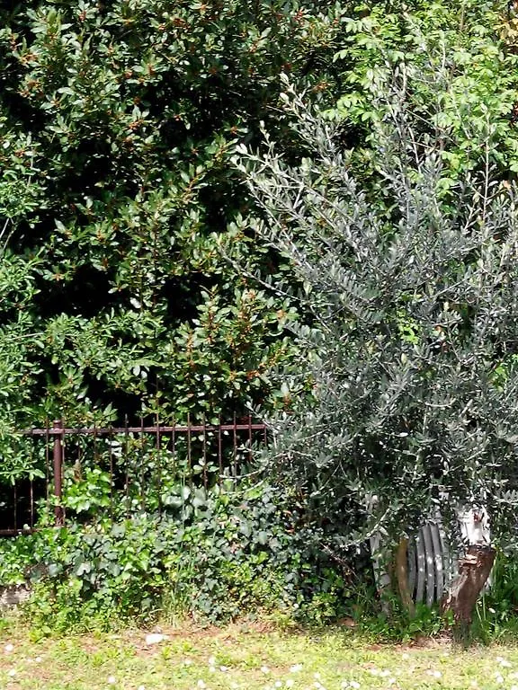 Apartments Villa Andreja Opatija
